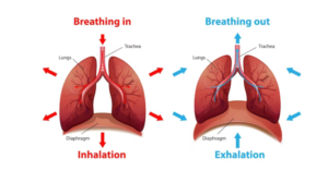 Shortness of Breath 